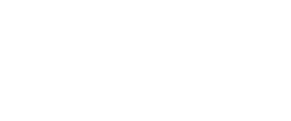BetterLifeAdvisor — Consulting | Mentoring | Planning